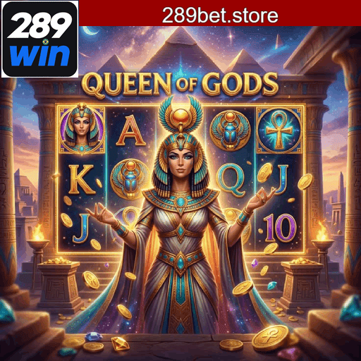 289BET: Plataforma Confiável e Profissional
