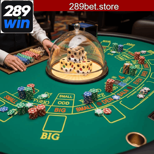 289BET: Seu Cassino Online Seguro e Rápido